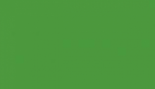 0 - spray color green - Kopie
